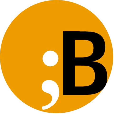 BVS Logo